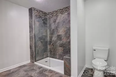 225 Sheepnose Drive, Lake Lure, NC 28746 - Photo 19