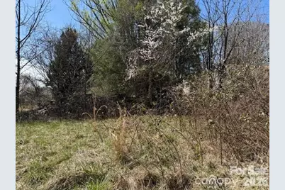 7 Pressley Branch Road, Arden, NC 28704 - Photo 3