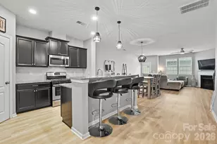 3033 Honeylocust Ln, Fort Mill, SC 29707 - Photo 1