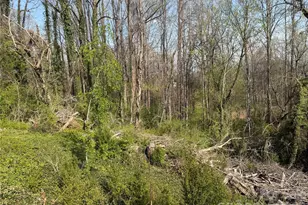 119 Seagle St, Marion, NC 28752 - Photo 35