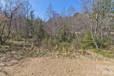 233 Edgewood Road S, Asheville, NC 28803 - Photo 7