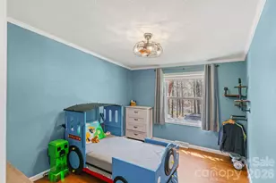 243 Lambs Way, Iron Station, NC 28080 - Photo 19