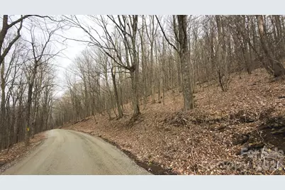 Tbd Tater Hill Road, Zionville, NC 28698 - Photo 17