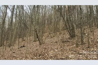 Tbd Tater Hill Road, Zionville, NC 28698 - Photo 15