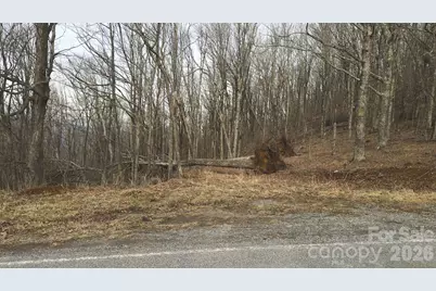 Tbd Tater Hill Road, Zionville, NC 28698 - Photo 23