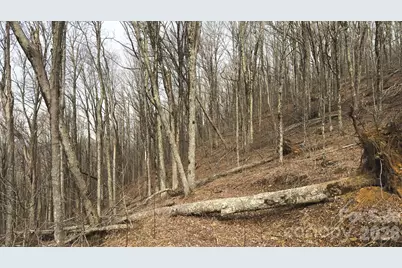 Tbd Tater Hill Road, Zionville, NC 28698 - Photo 27