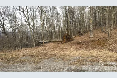 Tbd Tater Hill Road, Zionville, NC 28698 - Photo 25