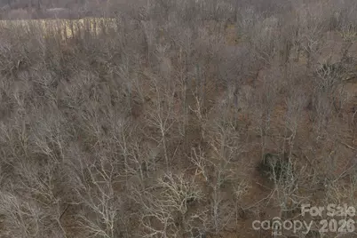 Tbd Tater Hill Road, Zionville, NC 28698 - Photo 9