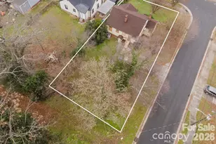3101 Dogwood Ave, Charlotte, NC 28206 - Photo 5