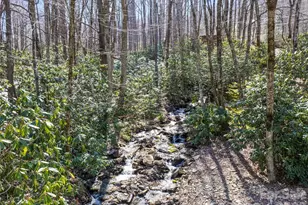 89 Stump Ln, Maggie Valley, NC 28751 - Photo 39