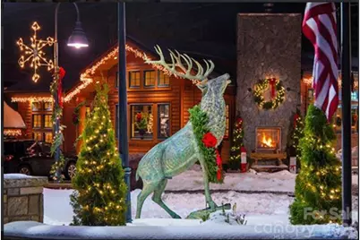 515 Grey Fox Ridge, Banner Elk, NC 28604 - Photo 19