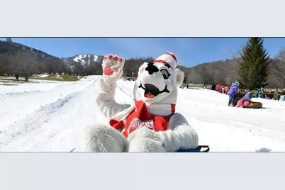 515 Grey Fox Ridge, Banner Elk, NC 28604 - Photo 21