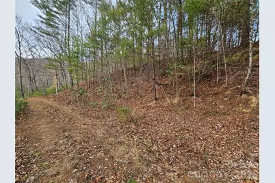 00 Wispy Willow Drive #22T, Waynesville, NC 28785 - Photo 9