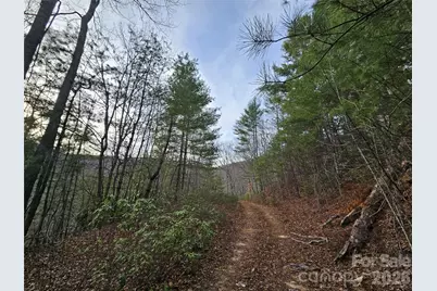 00 Wispy Willow Drive #22T, Waynesville, NC 28785 - Photo 7