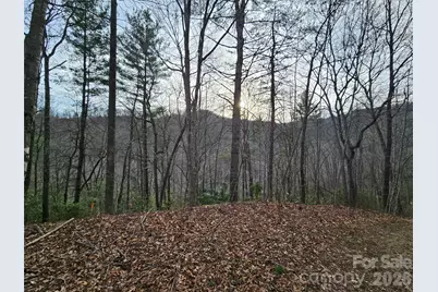 00 Wispy Willow Drive #22T, Waynesville, NC 28785 - Photo 5