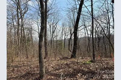 108 Fawncrest Court #51 - R, Flat Rock, NC 28731 - Photo 7