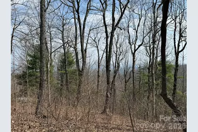 108 Fawncrest Court #51 - R, Flat Rock, NC 28731 - Photo 19