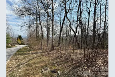 108 Fawncrest Court #51 - R, Flat Rock, NC 28731 - Photo 5