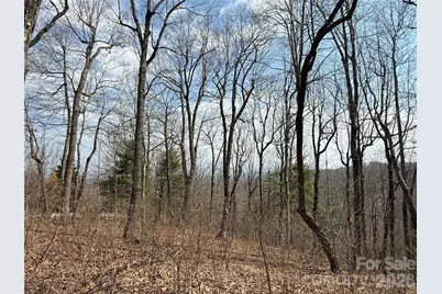 108 Fawncrest Court #51 - R, Flat Rock, NC 28731 - Photo 21