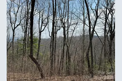 108 Fawncrest Court #51 - R, Flat Rock, NC 28731 - Photo 17