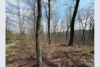 108 Fawncrest Court #51 - R, Flat Rock, NC 28731 - Photo 9