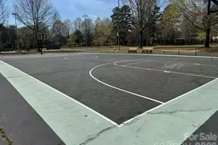 1423 Chelveston Dr, Charlotte, NC 28208 - Photo 27