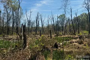 1423 Chelveston Dr, Charlotte, NC 28208 - Photo 25