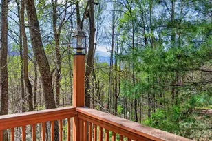 32 Seldom Home Dr, Black Mountain, NC 28711 - Photo 29