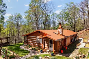 32 Seldom Home Dr, Black Mountain, NC 28711 - Photo 45