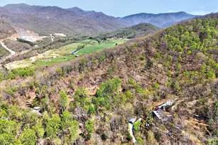 32 Seldom Home Dr, Black Mountain, NC 28711 - Photo 43