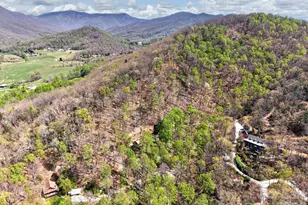 32 Seldom Home Dr, Black Mountain, NC 28711 - Photo 41