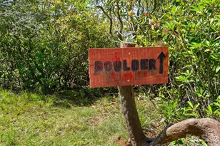 1909 Kentwood Ln, Pisgah Forest, NC 28768 - Photo 43