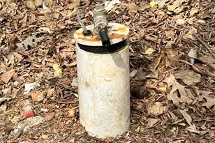 2137 Plumcrest Ln, Clover, SC 29710 - Photo 23