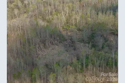 000 Melvin Hill Road, Campobello, SC 29322 - Photo 5