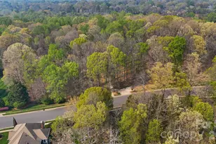 10721 Jordan Rae Ln, Charlotte, NC 28277 - Photo 45