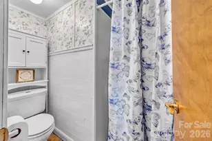 280 Forest Acres Ln, Taylorsville, NC 28681 - Photo 21