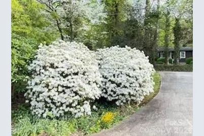 41 Balsam Shadows Drive, Maggie Valley, NC 28751 - Photo 41