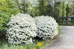 41 Balsam Shadows Dr, Maggie Valley, NC 28751 - Photo 41