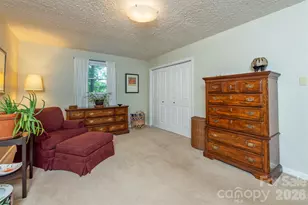 290 Patton Hill Rd, Swannanoa, NC 28778 - Photo 29