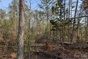 Tbd Whitesides Rd, Forest City, NC 28043 - Photo 1