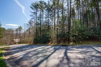000 Camptown Road, Brevard, NC 28712 - Photo 3