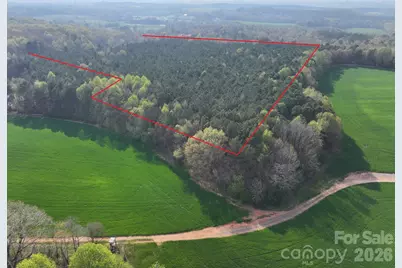 0000 Woodall Road, Wadesboro, NC 28170 - Photo 1