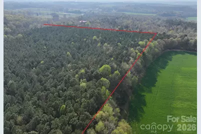 0000 Woodall Road, Wadesboro, NC 28170 - Photo 3