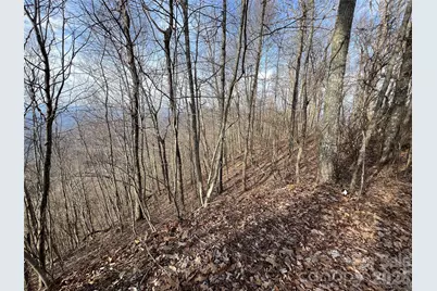 24/26 Butterfly Path #24/26, Bryson City, NC 28713 - Photo 7