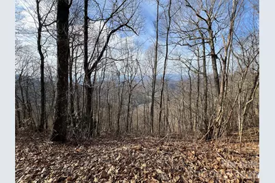 24/26 Butterfly Path #24/26, Bryson City, NC 28713 - Photo 3