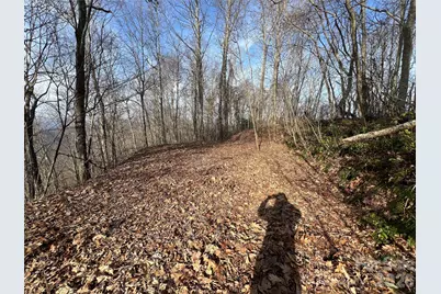 24/26 Butterfly Path #24/26, Bryson City, NC 28713 - Photo 5