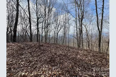 24/26 Butterfly Path #24/26, Bryson City, NC 28713 - Photo 1