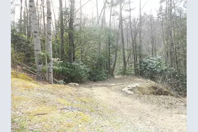 0000 Woodlake Loop Road, Elk Park, NC 28622 - Photo 19