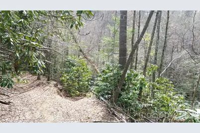 0000 Woodlake Loop Road, Elk Park, NC 28622 - Photo 5