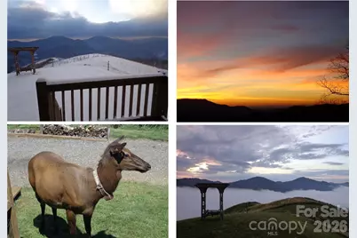 1007 Turkey Trot Road, Clyde, NC 28721 - Photo 7